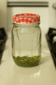 Freshly soaked moong beans